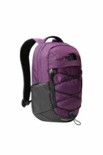 کوله پشتی زنانه نورث فیس The North Face با کد NF0A52SW6NR1