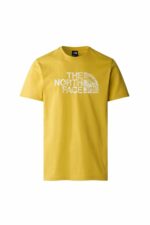 تیشرت مردانه نورث فیس The North Face با کد NF0A87NXQOA1