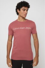 تیشرت مردانه کلوین کلاین Calvin Klein با کد J30J325676-VAI